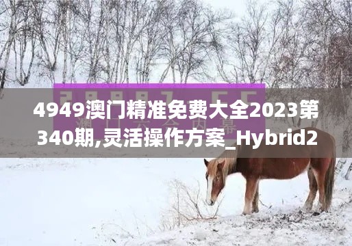 4949澳门精准免费大全2023第340期,灵活操作方案_Hybrid28.648-9