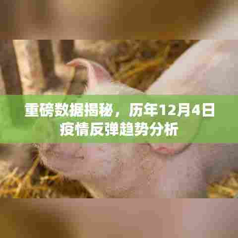 历年12月4日疫情反弹趋势重磅数据揭秘分析