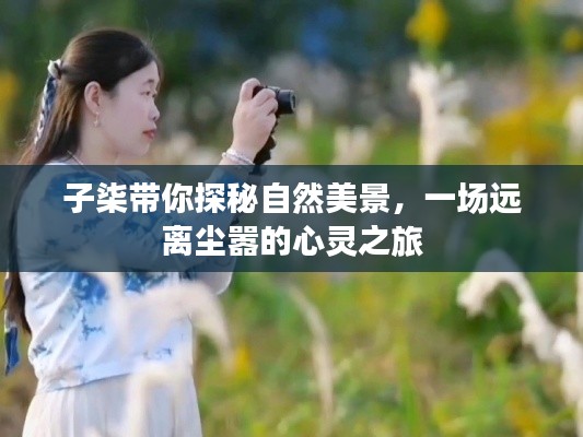 子柒带你远离尘嚣,探寻自然美景的心灵之旅