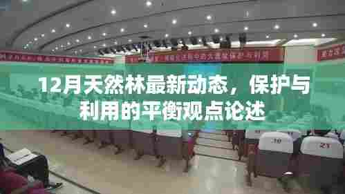 12月天然林动态,保护与利用的平衡观点探讨