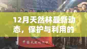 12月天然林动态,保护与利用的平衡观点探讨