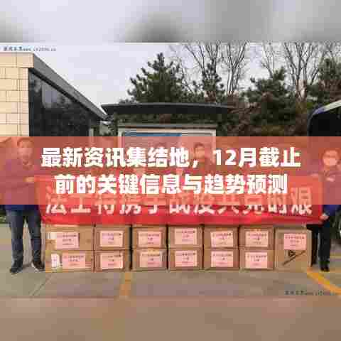 最新资讯集结地,关键信息与趋势预测(截至12月)