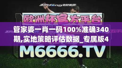管家婆一肖一码100%准确340期,实地策略评估数据_专属版47.134-7