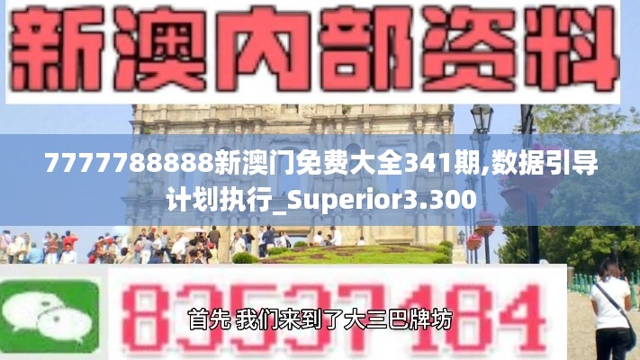 7777788888新澳门免费大全341期,数据引导计划执行_Superior3.300