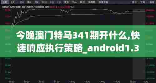 今晚澳门特马341期开什么,快速响应执行策略_android1.386
