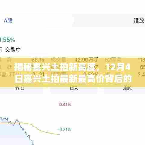 揭秘嘉兴土拍新高度，最新最高价背后的故事揭秘（12月4日）