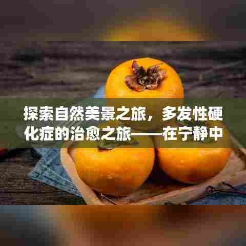 自然探索与心灵治愈,多发性硬化症患者的平和与力量之旅