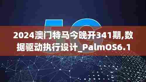 2024澳门特马今晚开341期,数据驱动执行设计_PalmOS6.180
