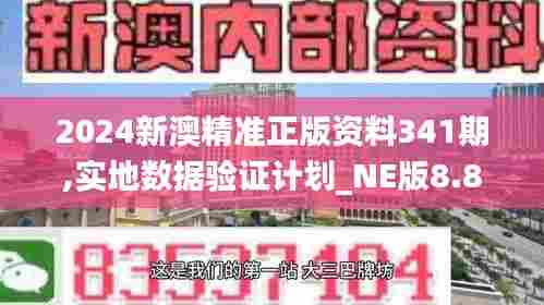 2024新澳精准正版资料341期,实地数据验证计划_NE版8.815
