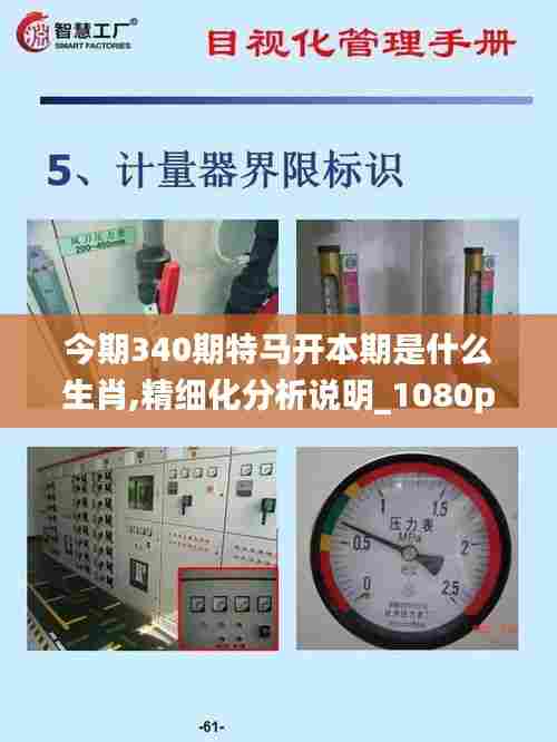 今期340期特马开本期是什么生肖,精细化分析说明_1080p6.385