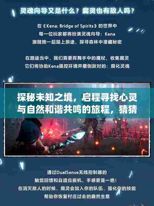 G频道2024年12月4日新发现,探秘心灵与自然和谐共鸣的神秘之旅