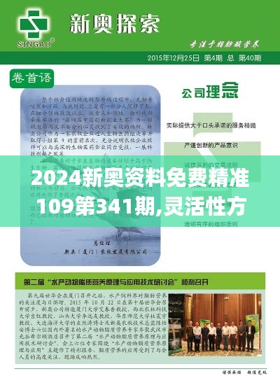 2024新奥资料免费精准109第341期,灵活性方案实施评估_旗舰款9.196