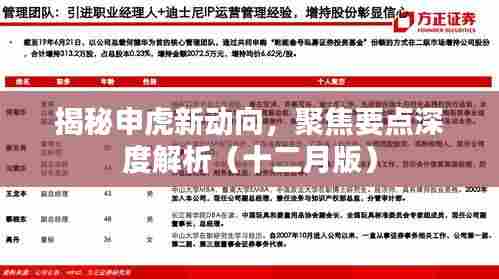 揭秘申虎新动向深度解析(十二月最新进展)