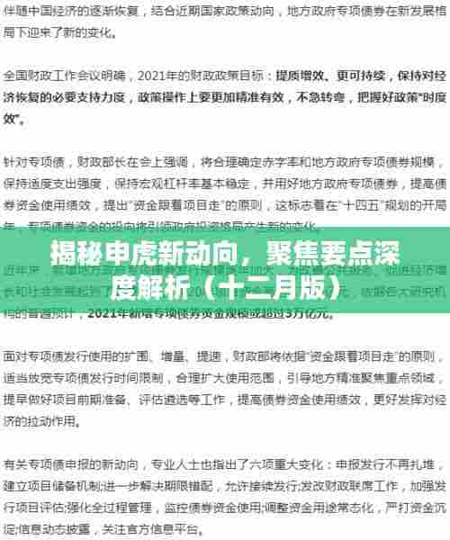 揭秘申虎新动向深度解析(十二月最新进展)