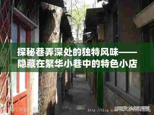 繁华小巷中的独特风味探秘,巷弄深处的特色小店奇遇记