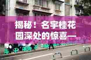 名宇桂花园小巷探秘,隐藏的特色小店惊喜揭秘