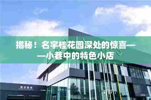 名宇桂花园小巷探秘,隐藏的特色小店惊喜揭秘