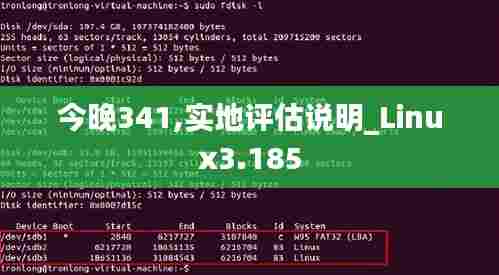 今晚341,实地评估说明_Linux3.185