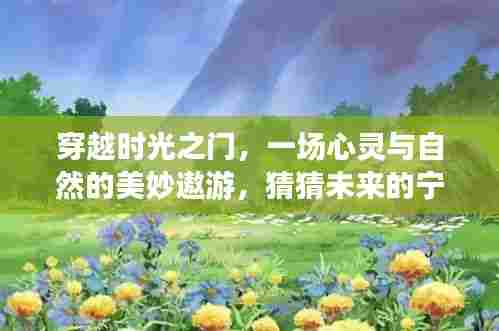穿越时光的心灵之旅,探索未来宁静角落的奇妙遨游