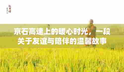 京石高速上的暖心时光,一段关于友谊与陪伴的温馨故事