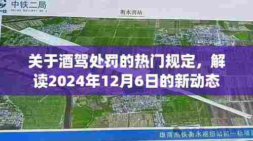 解读酒驾处罚新动态，2024年酒驾处罚规定详解，新动态下的酒驾处罚趋势分析