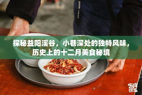 探秘益阳溪谷深处的十二月美食秘境,小巷风味与历史印记