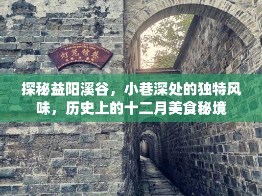 探秘益阳溪谷深处的十二月美食秘境,小巷风味与历史印记
