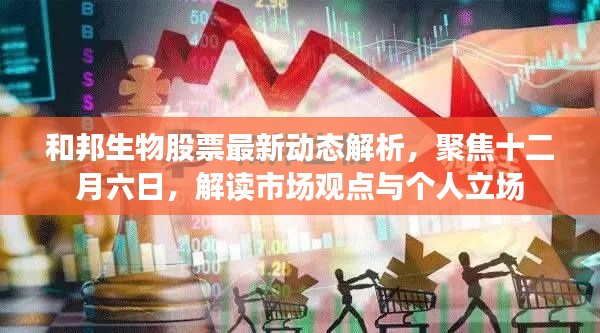 和邦生物股票最新动态解析,十二月六日市场观点与个人立场聚焦