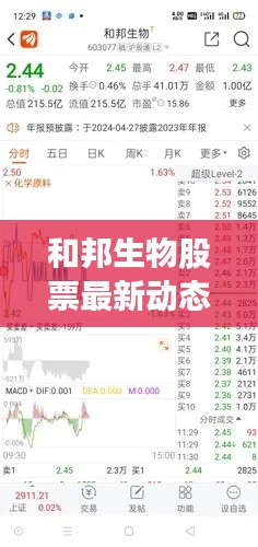 和邦生物股票最新动态解析,十二月六日市场观点与个人立场聚焦
