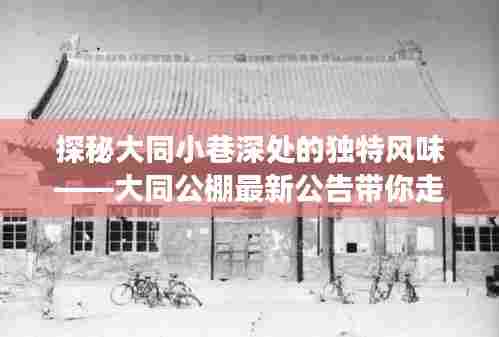 探秘大同小巷深处的隐藏美食殿堂——大同公棚带你走进独特风味的美食殿堂公告