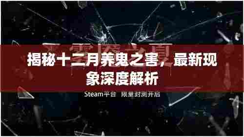 揭秘十二月养鬼之害,深度解析最新现象