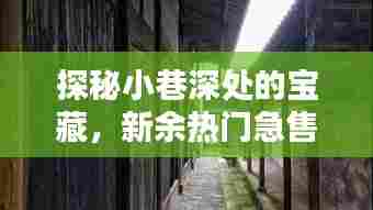 探秘小巷深处的宝藏,新余热门急售二手房与独特小店全攻略