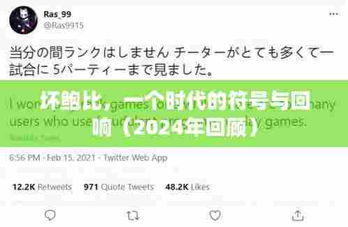 坏鲍比,一个时代的符号与回响(2024年回顾)