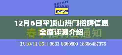 12月6日平顶山热门招聘信息全面评测介绍