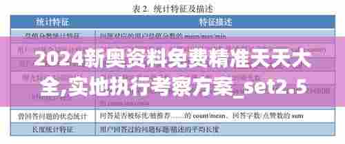 2024新奥资料免费精准天天大全,实地执行考察方案_set2.541