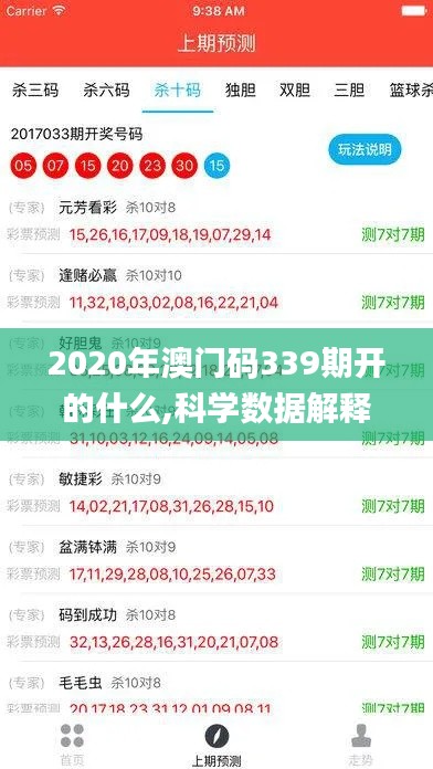 2020年澳门码339期开的什么,科学数据解释定义_挑战款4.958