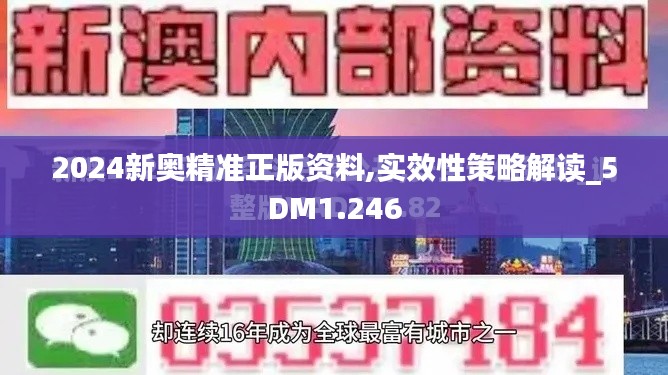 2024新奥精准正版资料,实效性策略解读_5DM1.246