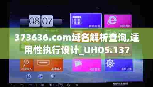 373636.com域名解析查询,适用性执行设计_UHD5.137