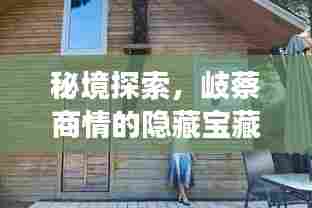 秘境探索与岐蔡商情的隐藏宝藏,小巷奇趣小店之房屋出租故事(12月6日)