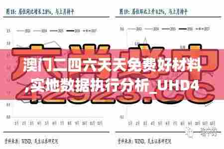 澳门二四六天天免费好材料,实地数据执行分析_UHD4.385