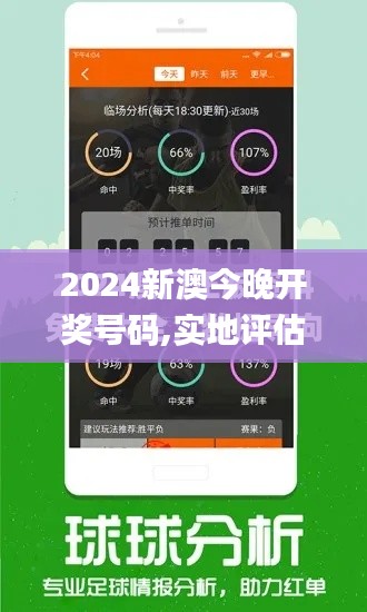 2024新澳今晚开奖号码,实地评估解析说明_网页款10.696