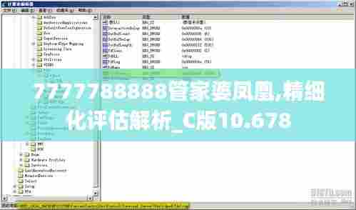 7777788888管家婆凤凰,精细化评估解析_C版10.678