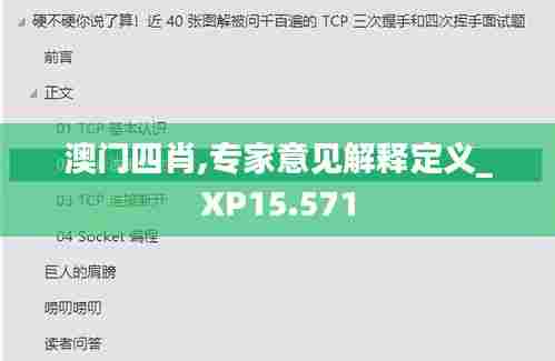 澳门四肖,专家意见解释定义_XP15.571