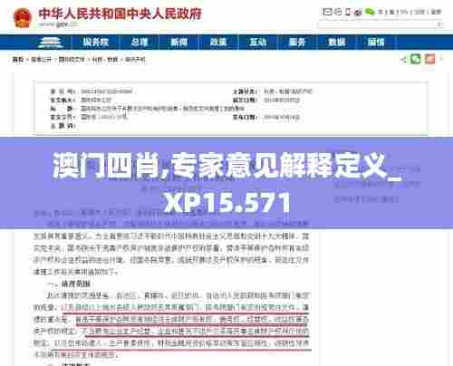 澳门四肖,专家意见解释定义_XP15.571