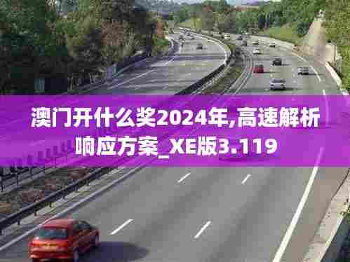 澳门开什么奖2024年,高速解析响应方案_XE版3.119