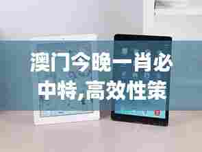 澳门今晚一肖必中特,高效性策略设计_iPad1.571