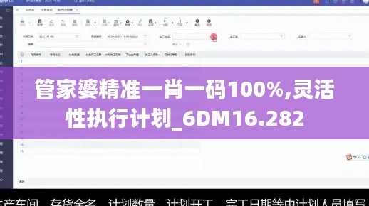 管家婆精准一肖一码100%,灵活性执行计划_6DM16.282