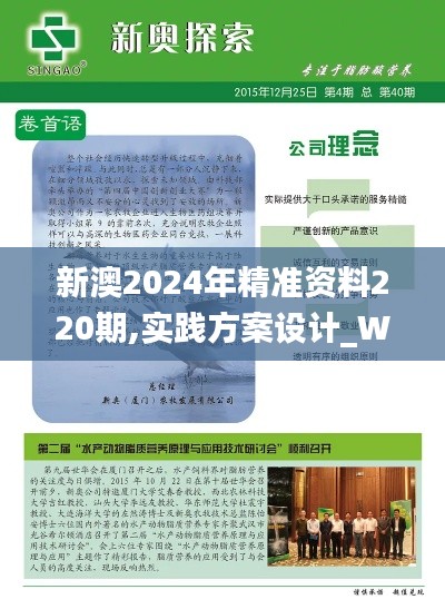 新澳2024年精准资料220期,实践方案设计_Windows9.678