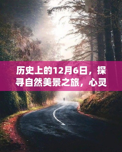 探寻自然美景之旅,历史上的12月6日的心灵鸡汤与路上的笑声