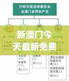 新澳门今天最新免费资料,持久性方案设计_复刻款5.910